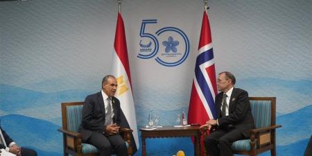 وزير الخارجية يلتقى نظيره النرويجى لبحث سبل تعزيز العلاقات الثنائية والتشاور بشأن التطورات الإقليمية - المدينة برس