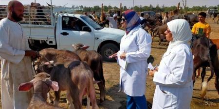 الزراعة: 21 ألف زيارة ميدانية لرصد الأمراض الوبائية وحماية الثروة الحيوانية - المدينة برس