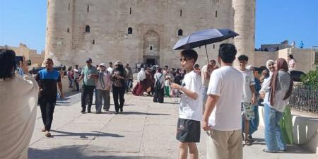 إقبال جماهيري على قلعة قايتباي بالإسكندرية تزامنًا مع عيد المحافظة القومي (صور) - المدينة برس