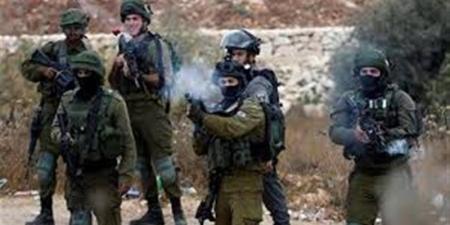 الاحتلال يفرج عن فلسطيني اتهمه بخطف سلاح مستوطن في سوسيا بالضفة الغربية - المدينة برس