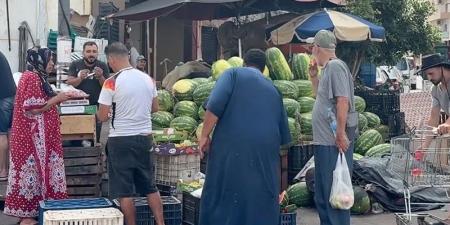 الشائعات تستهدف "الدلاح" - بوابة المدينة برس