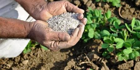انخفاض النترات العادي 2969 جنيها، أسعار الأسمدة اليوم في الأسواق - المدينة برس