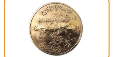 الفائزون بجائزة النيل من المصريين والعرب 2026 (إنفوجراف) - المدينة برس