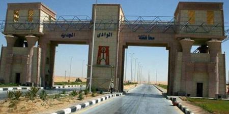 25 فرصة عمل جديدة لشباب الوادي الجديد بالتنسيق مع القطاع الخاص - المدينة برس
