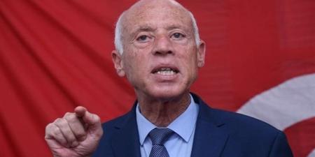 قيس سعيد يستعرض مع السيسي جهود مكافحة الحرائق والحفاظ على مقدرات تونس وسلامة مواطنيها - المدينة برس