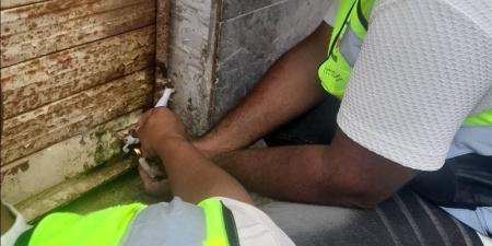 غلق وتشميع مجزر دواجن بأبو صوير بالإسماعيلية.. وسلامة الغذاء: خطر داهم على الصحة العامة - المدينة برس
