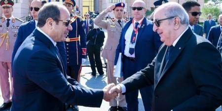 الرئيس الجزائري: نحن مع مصر بخندق واحد وهناك دويلة عربية لا يأتي منها إلا الخراب - المدينة برس