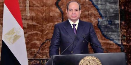 مصر والأردن تؤكدان ضرورة التوصل إلى حل عادل للقضية الفلسطينية وفقًا لمقررات الشرعية الدولية - المدينة برس