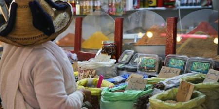 المغرب يقترب من إجراءات تنظيم واردات الثوم لحماية المنتوج الوطني - بوابة المدينة برس