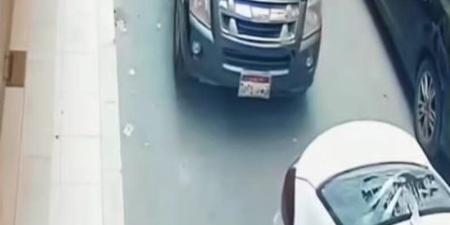 "هكسر أي عربية تسد الشارع"، شخص وسيدة وكلب شرس يحطمون سيارات المواطنين ببنها - المدينة برس