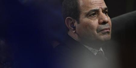 السيسي يدعو إلى "وقف التصعيد" - بوابة المدينة برس