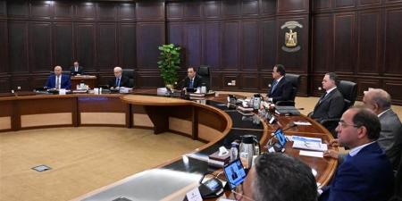 الحكومة توافق على مشروع لوجستي جديد بظهير ميناء الإسكندرية - المدينة برس