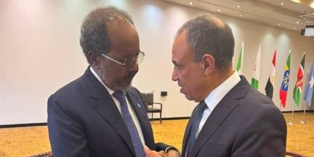 وزير الخارجية يلتقي الرئيس الصومالي - المدينة برس