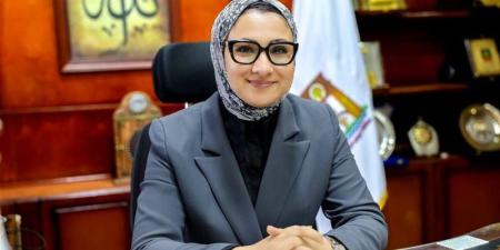 محافظ الوادي الجديد: اعتماد جهاز معلومات المرافق لتنفيذ أعمال الرفع المساحي - المدينة برس