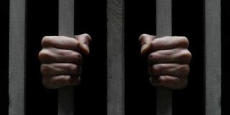 حبس سائق ميكروباص 4 أيام بعد دهس شخص وإصابة اثنين في جسر السويس - المدينة برس