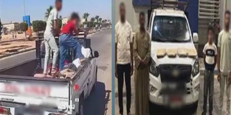 فيديو سرقة بلاط رصيف يثير الجدل في الشرقية وتحرك أمني سريع يكشف مفاجأة - المدينة برس