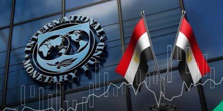 لماذا وافق صندوق النقد على الشريحة السابعة لمصر؟ خبير يكشف كلمة السر - المدينة برس