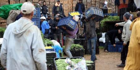 المغرب يسجل وفرة غير مسبوقة في الخضر والفواكه بأسواق الجملة - بوابة المدينة برس