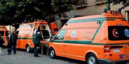 إصابات خطيرة لشابين إثر اصطدام ميكروباص بهما على طريق جمصة - المدينة برس