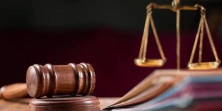 اليوم، استكمال سماع المرافعات في محاكمة 43 متهما بخلية الهيكل الإداري بالتجمع - المدينة برس