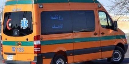 مصرع عامل طعنا على يد زوج ابنة خالته في مشاجرة بشبرا الخيمة - المدينة برس
