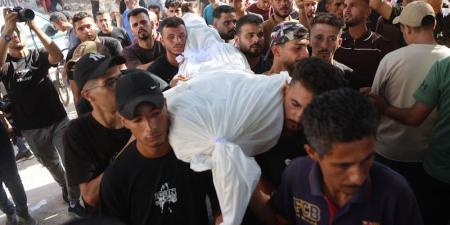 القصف يسلب حياة فلسطينيين في غزة - بوابة المدينة برس
