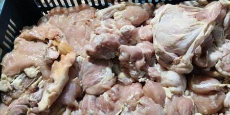 ضبط 1.5 طن دواجن غير صالحة للاستهلاك الآدمي في قليوب - المدينة برس