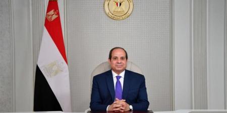 السيسي يتابع البرنامج المُقترح للدعم النقدي السلعي لتمكين المواطن من حرية الاختيار - المدينة برس