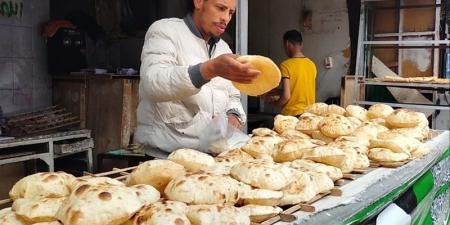 أول تعليق من شعبة المخابز على قرار وزير التموين بتحديد أسعار الخبز السياحي والفينو (فيديو) - المدينة برس