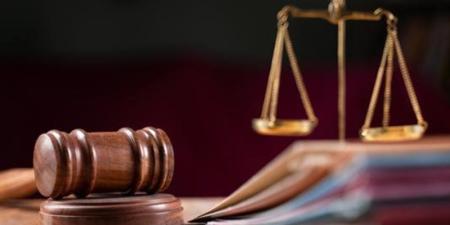 تأجيل محاكمة المتهم بخطف طفل في المعصرة انتقاما من والده لجلسة 14 سبتمبر - المدينة برس