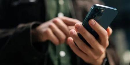 كرّهتونا في عيشتنا، أستاذ بهارفارد يوجه رسالة للمسئولين المصريين بشأن جمارك المحمول للعاملين بالخارج - المدينة برس