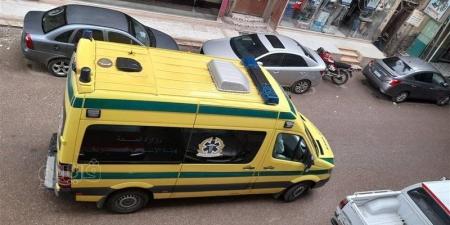 العثور على جثة متيبسة أسفل كوبري عزبة الشناوي بالمنصورة - المدينة برس