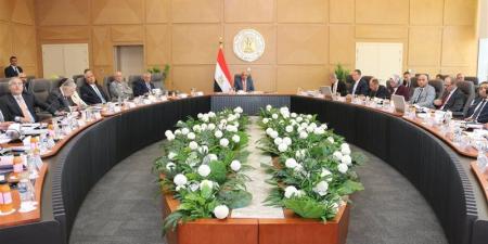 وزير الكهرباء: 23.1 مليار جنيه استثمارات مستهدفة وزيادة المشتركين إلى 47 مليون مواطن - المدينة برس