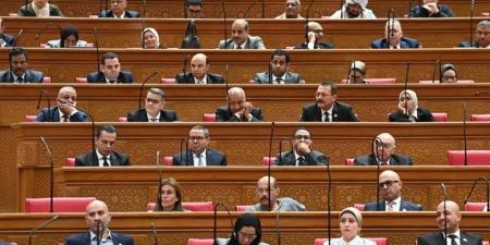 تفاصيل تعديل تشريعي لضبط عمل المنصات الرقمية - المدينة برس