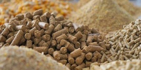 ارتفاع طن الجلوتين 1000 جنيه، أسعار الأعلاف والحبوب اليوم الأربعاء في الأسواق - المدينة برس