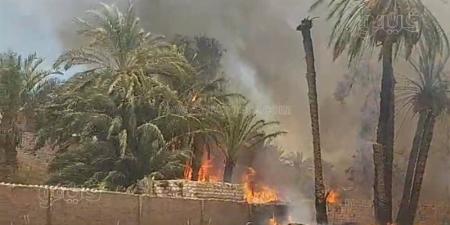 اندلاع حريق بقرية عطف حيدر في المنيا والحماية المدنية تدفع بسيارات الإطفاء(صور) - المدينة برس
