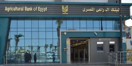 ما الأوراق المطلوبة للتمويل الصناعي في البنك الزراعي؟ - المدينة برس