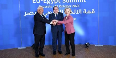 الربط الكهربائي باليونان أحدثها، تفاصيل تحول العلاقات المصرية الأوروبية لشراكة استراتيجية شاملة - المدينة برس