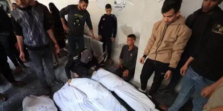 73 ألف شهيد جراء العدوان الإسرائيلي على غزة منذ 7 أكتوبر 2023 - المدينة برس