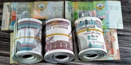 الدينار الكويتي يتراجع 2 جنيه في البنوك المصرية - المدينة برس