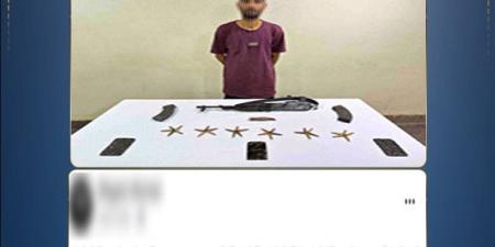 أضرم النار في تاجر أغنام، مقتل عنصر إجرامي في تبادل إطلاق النار مع الشرطة بالمنيا - المدينة برس