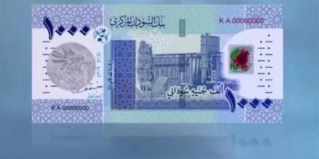 سعر الجنيه مقابل الدولار في بنك السودان المركزي اليوم الأحد - المدينة برس