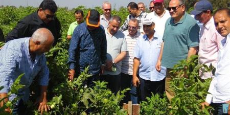 رئيس "البحوث الزراعية" يتفقد محطة الجميزة لمتابعة برامج المحاصيل وإنتاج التقاوي - المدينة برس