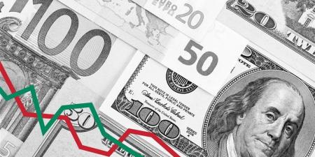 سعر صرف الدولار في البنك المركزي والبنوك المصرية (آخر تحديث) - المدينة برس
