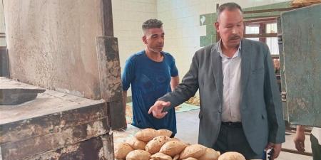 تحرير 516 محضرا وضبط 5.4 طن لحوم ودواجن فاسدة بأسيوط - المدينة برس