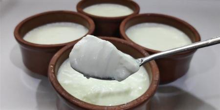 طريقة عمل الزبادي في البيت بقوام كريمي وطعم غني - المدينة برس