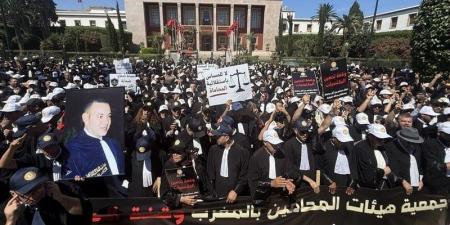 "قانون المحاماة" أمام فرصة جديدة للفحص الدستوري بعد إصلاح "خلل الإحالة" - بوابة المدينة برس