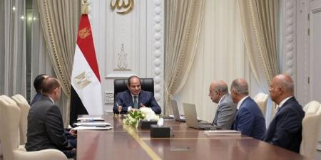 تكليفات رئاسية قوية لـ وزير الكهرباء بحضور مدبولي - المدينة برس
