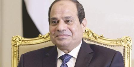 السيسي يوجه بدعم توطين الصناعات المُرتبطة بالطاقة الجديدة والمتجددة - المدينة برس