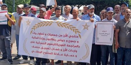 توريد الأرز يقفز 116% .. والمنتجون المغاربة يحذرون من اندثار الزراعة - بوابة المدينة برس